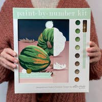 Canvas Paint By Number Kit