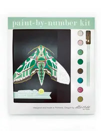 Canvas Paint By Number Kit