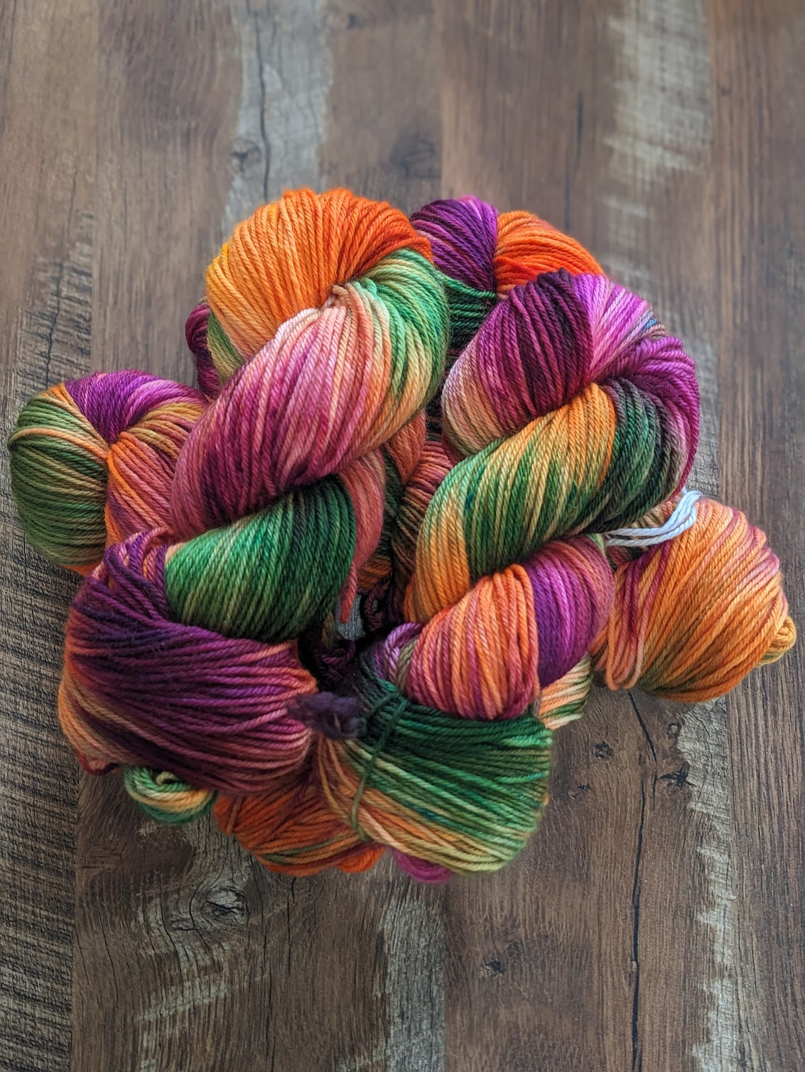 Dolphin Bay Collection DK Weight