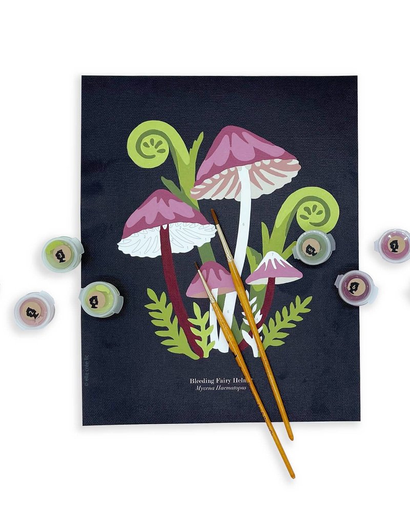 Canvas Paint By Number Kit